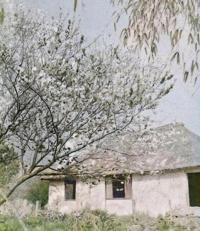 1934年上海嘉定街頭景象罕見絕版老照片