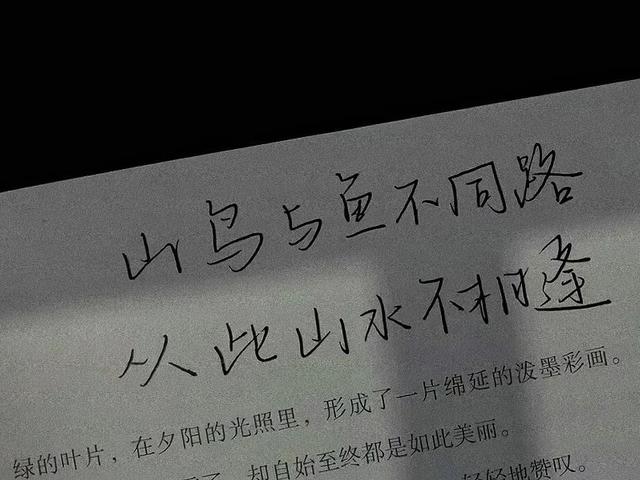 文案 | 可 是 月 亮 属 于 大 众 的