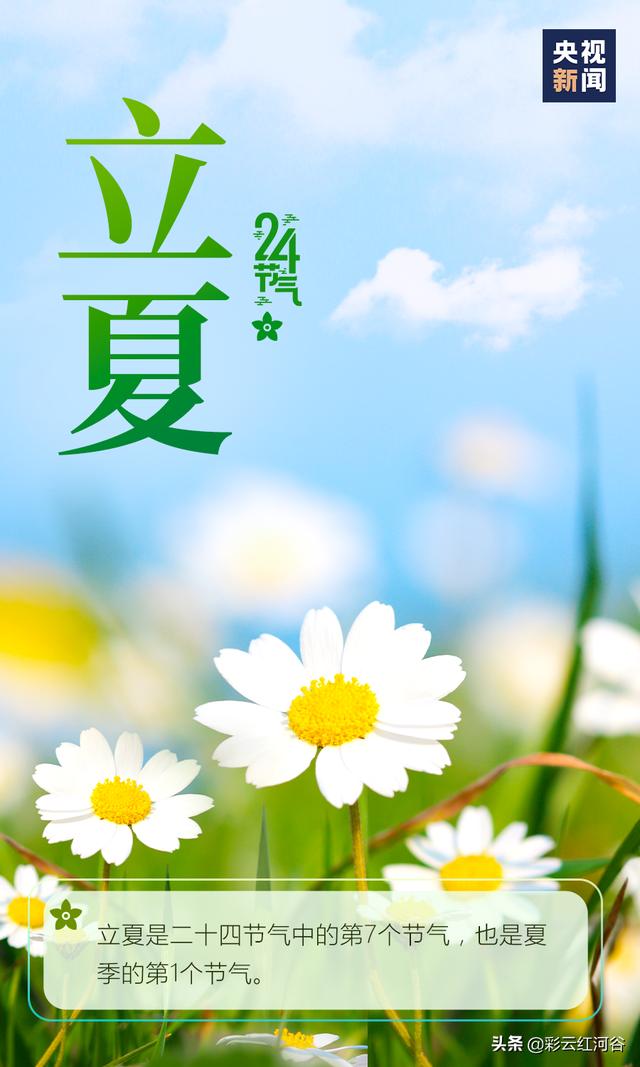 你好，夏天