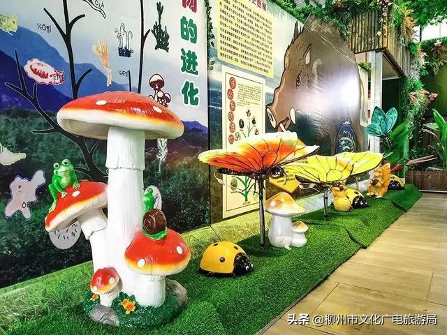 雙龍溝最全打卡攻略出爐，推給朋友絕對沒錯！