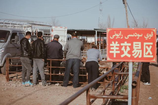 冬天新疆的美，被忽略了這麽多年