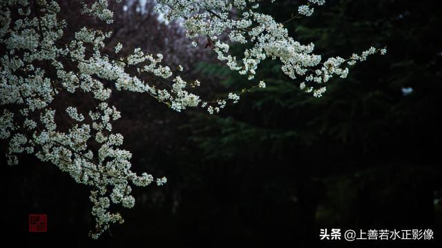 长安十三朝之前赵长安