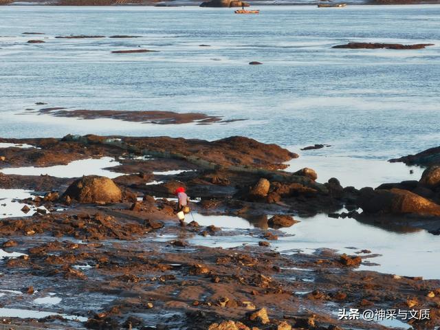 全国平均工资标准2022年,全国平均工资标准2022年最新