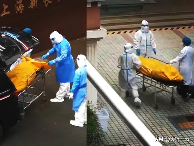 上海未死老人被转运？有人质疑福利院草菅人命，让人后背发凉