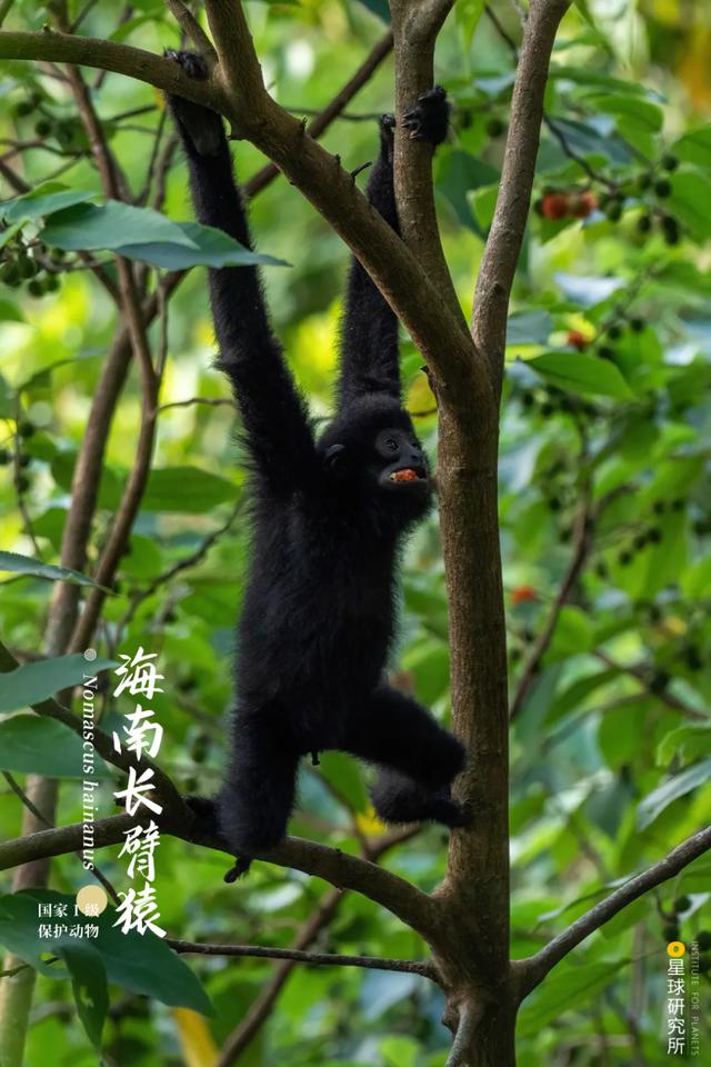 福建风化岩螺旋洗砂机多少钱
