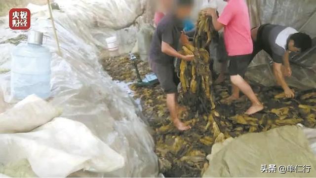 中国人只骗中国人？老坛酸菜供应商，可背不起这口锅