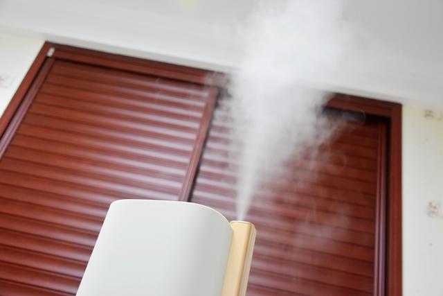 加湿器工作原理 加湿器工作原理（超声波加湿器工作原理） 生活