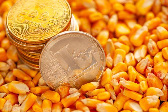 撑不住了！2月27日玉米、小麦“暴力拉升”，2022年粮价势不可挡