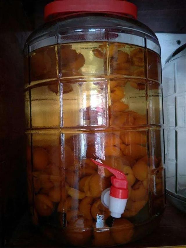 陕西省枇杷酒过滤机