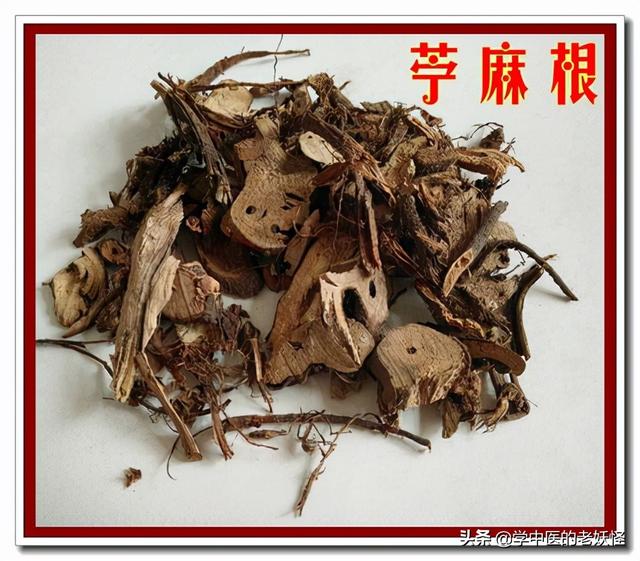 荨麻根的功效荨麻根的功效民间偏方
