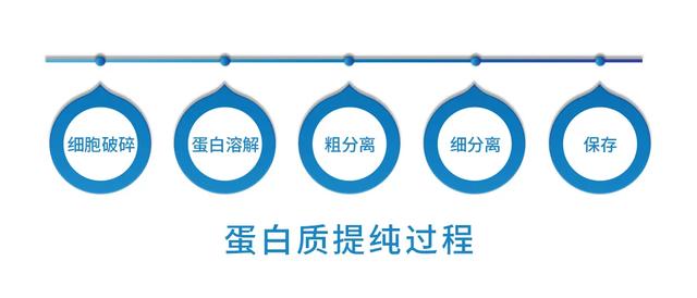 蛋白质过滤机
