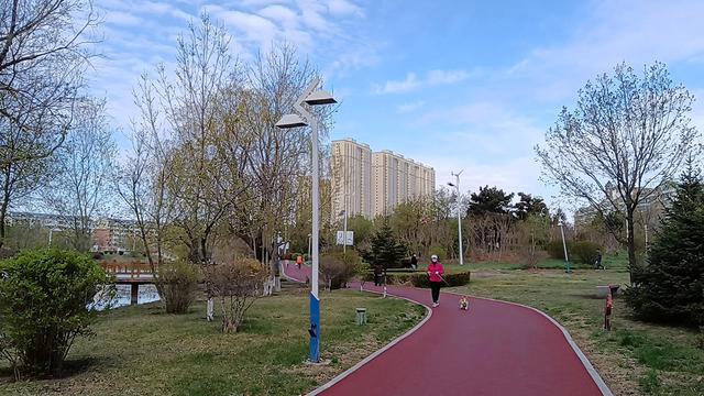 五一出不了城，不如来镜湖公园走一走吧