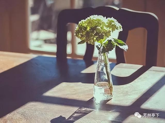 一个好脾气，一个好个性，谁的人生会更好
