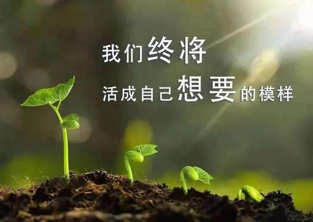 什么是成长？当然是在绝望中涅槃重生