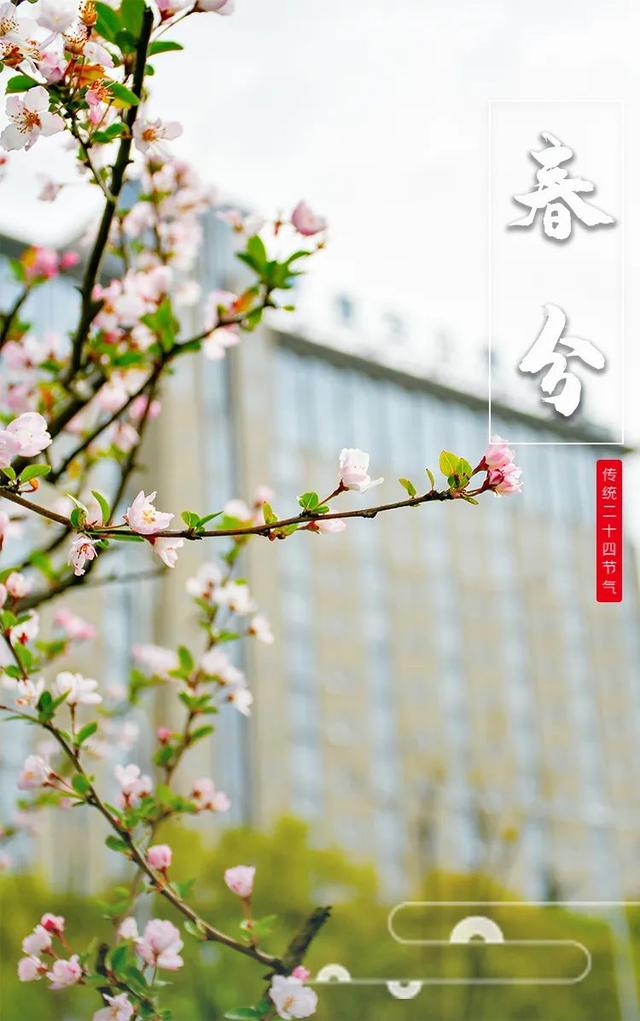 春分丨满目至美，邂逅昌飞的春色时光