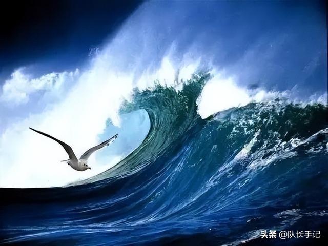 丑陋插图惹公愤，谁在打“教材”的歪主意？