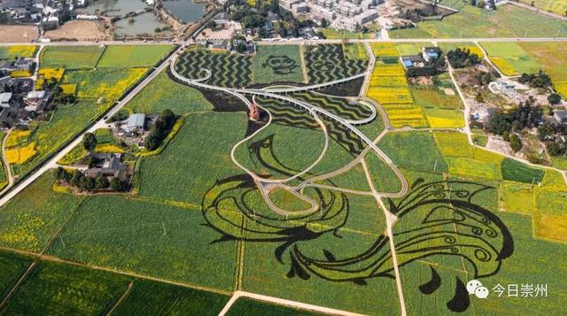 崇州田园花海“诗”会，等你来