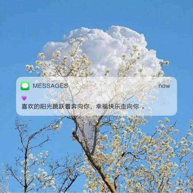 [云端万福云跟随转发]，微信背景图底下的文字怎么弄