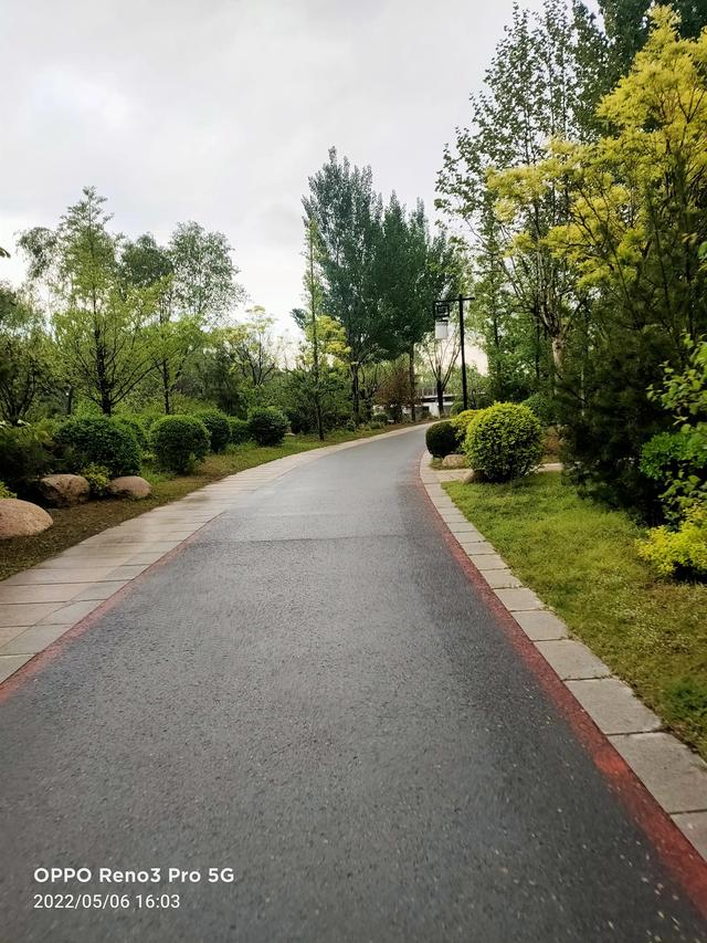 雨后戴河公园