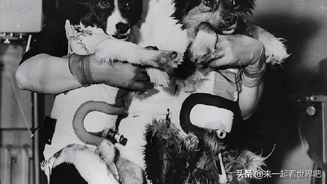 https://blog.sina.com.cn/s/blog_9766a3620102yz2k.html