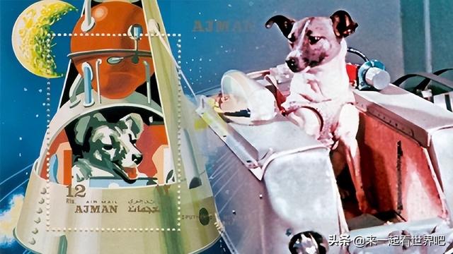 漂浮了六十五年的狗，是人类第一个飞上太空的生命