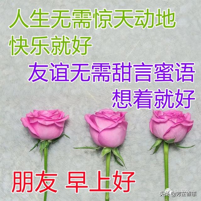愿苍天保佑，人间无险，病毒早散，你我平安