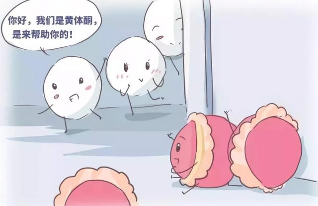 「疾病科普」听说孕激素是保胎神药？