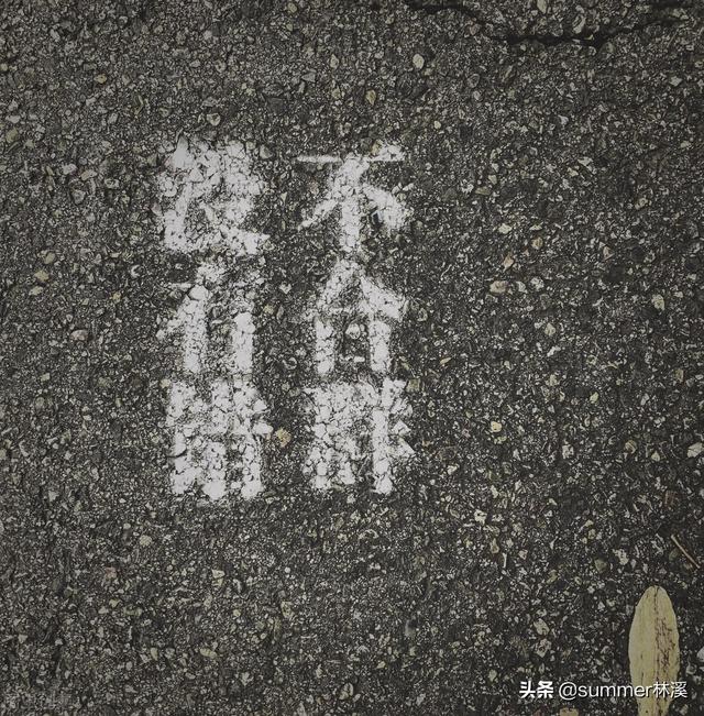 做一个独立有主见的人，不要用别人的脑子掌控你的人生