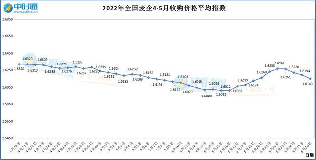 5月26日，小麦行情实况，大跌！新麦跌破1.6
