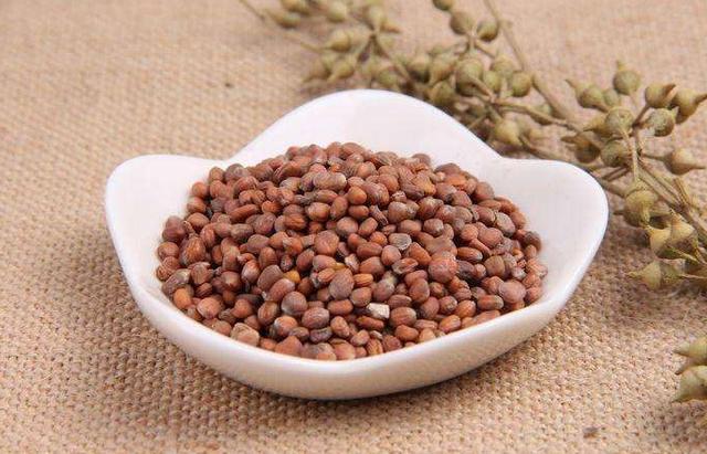 痰湿不祛，百病生？一剂三子养亲汤，一祛湿、二化痰、三健脾