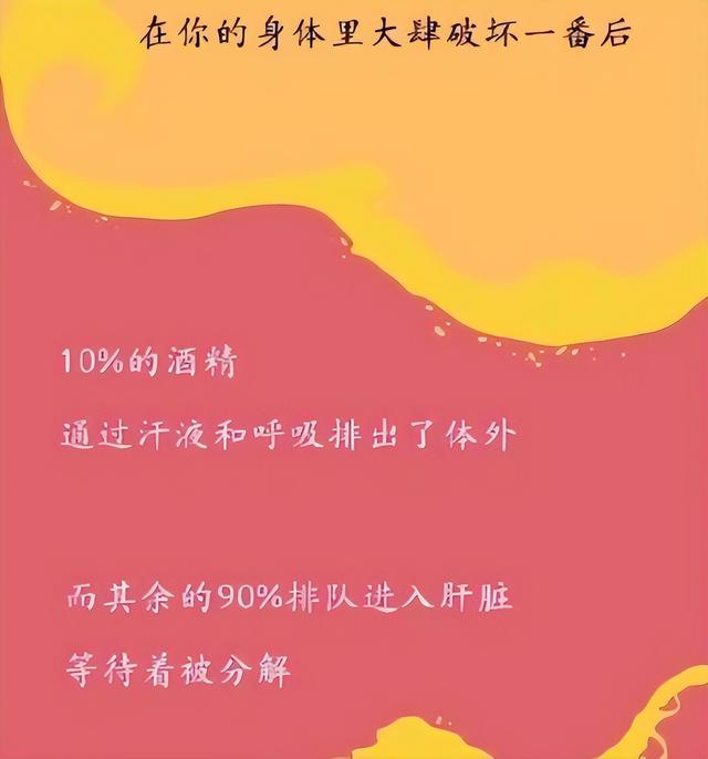 为什么要戒酒？科普：喝酒后人体24小时的变化，看完你还会喝酒吗