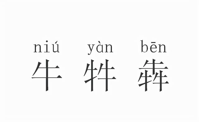 两个牛读什么字