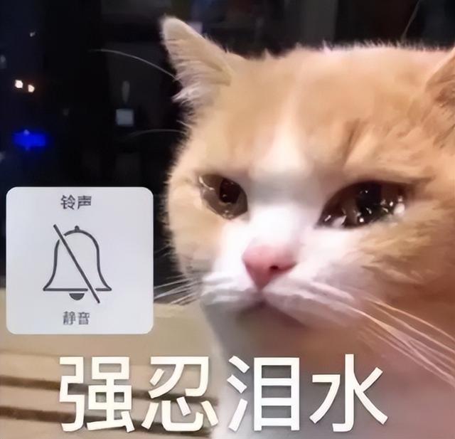 《王牌》后期翻车！没给关晓彤加滤镜，皮肤变黄脸变宽差距有点大