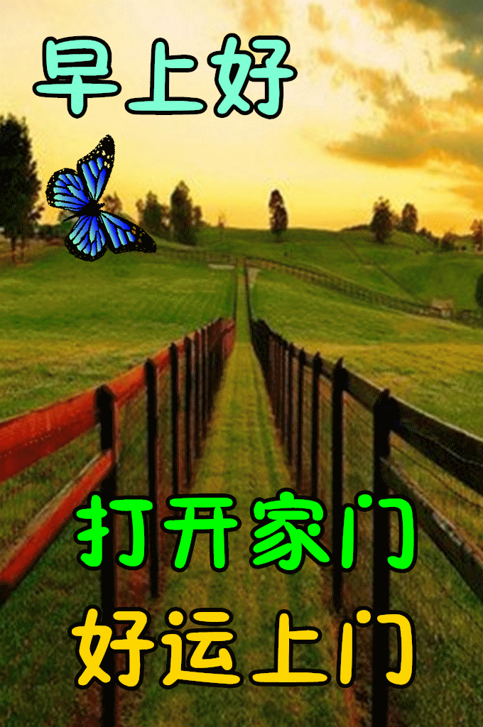 宝马，野马，悍马，都比不上绿码
