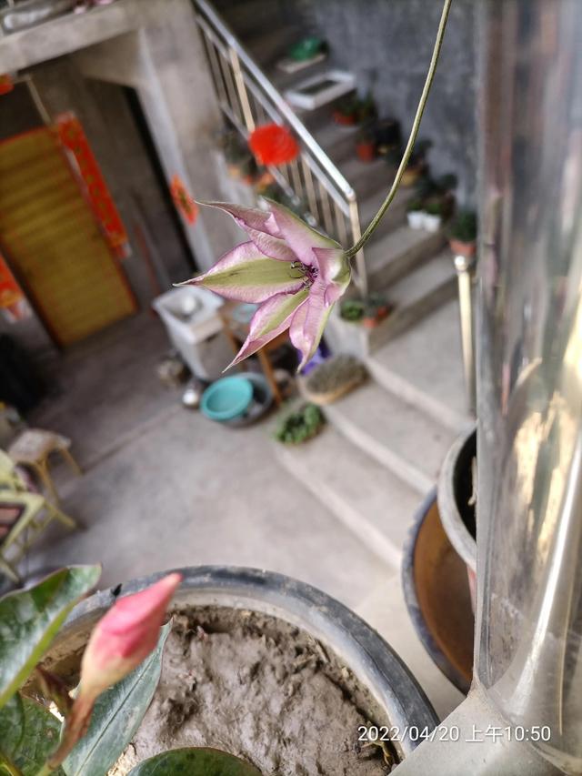 生活随笔记