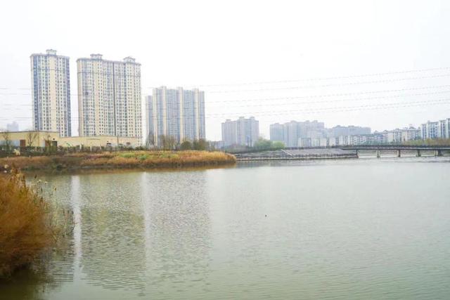 岳阳水冲洗压滤机