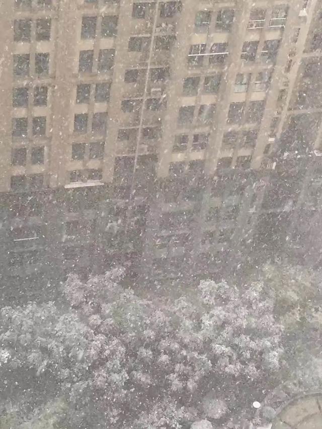 故事/二胎妈妈是如何找到自我的