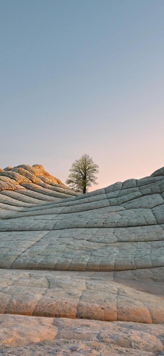 苹果不鸽语音分身哪个好_高清壁纸4k全屏60帧风景-站库网