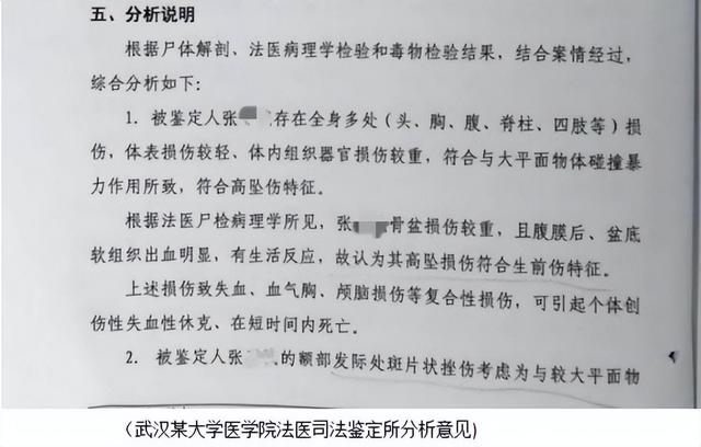 南阳通报二中学生坠亡事件：排除刑事案件，生前遭遇校园欺凌不实