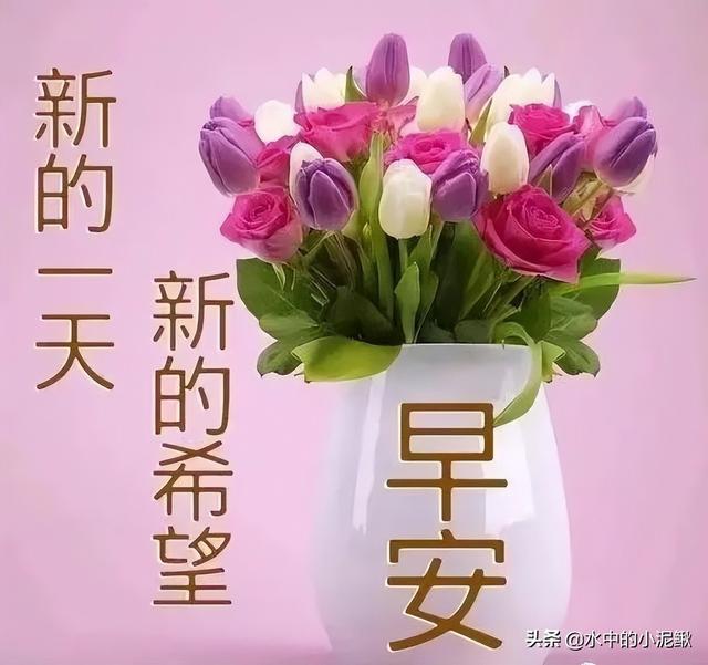 适合04月24日发微信朋友圈的早安句子