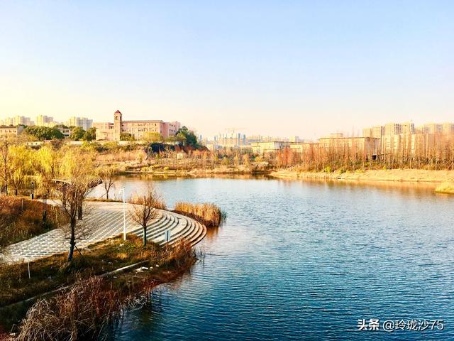 長沙唯一擁有戶外足球場的公園，更有大片水杉美景等你來