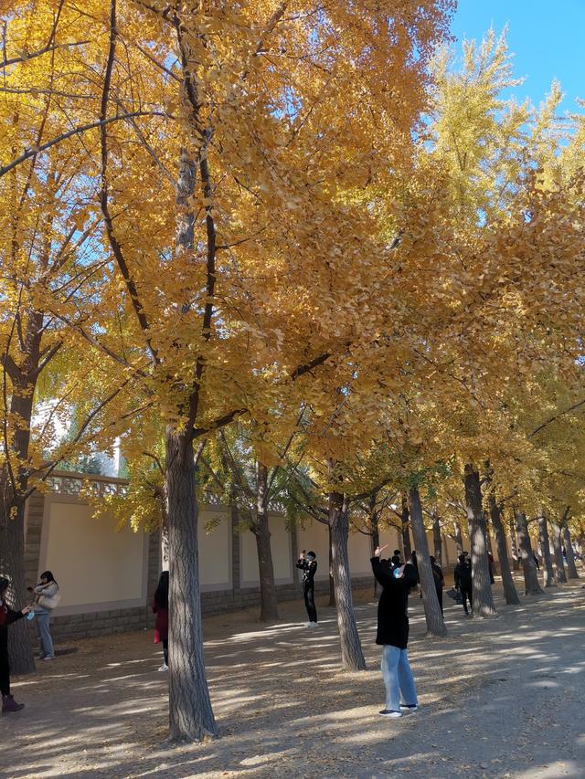 北京，缤紛的秋