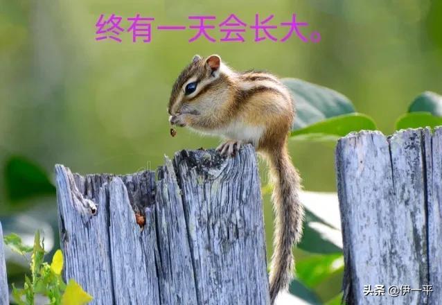 以后再也不借钱给别人了！终究是自己的善良，害了自己