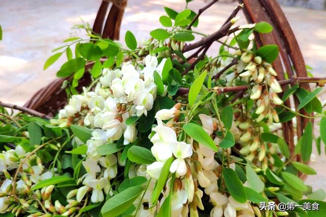 清明前后，必吃的“1花2芽3野菜”！养肝祛湿、清热降火，正应季