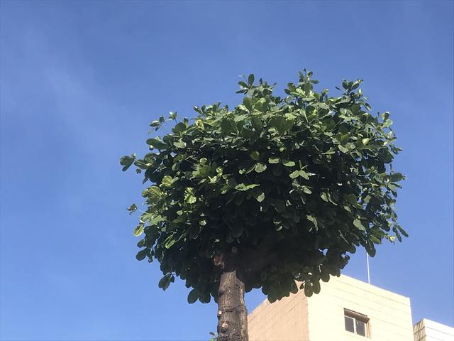 成为母亲的今天，我的人生多了一个“第一次”