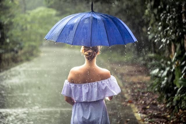 风雨何以惹得花落泪？