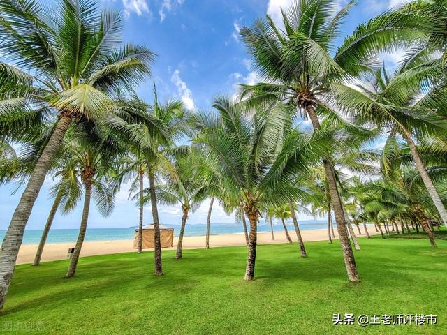 海南物价真的很离谱吗？来海南过冬一个月后，我发现事实并非如此