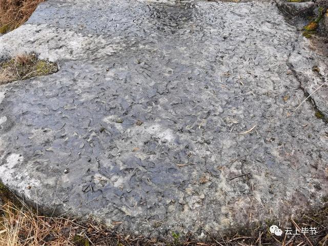 毕节石料制砂机设备价格表