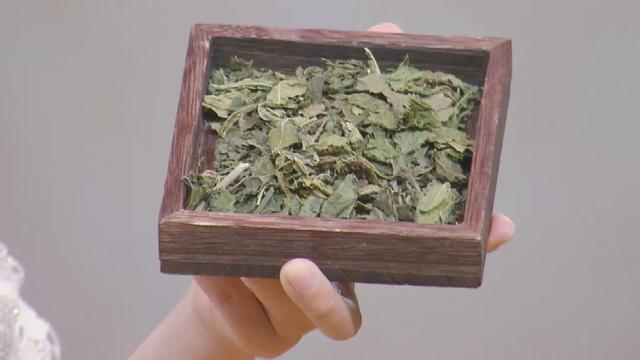 春季不养生，夏季易生病！62岁中医坚持30年的养生秘诀，人人可学