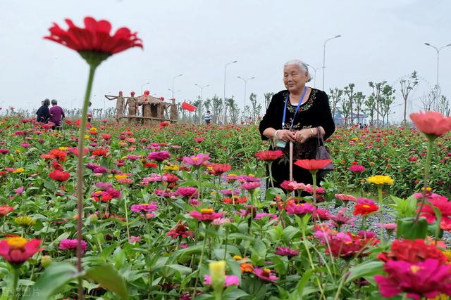 人一旦过了80岁，幸福的生活会越来越少